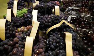 exportacao-uvas