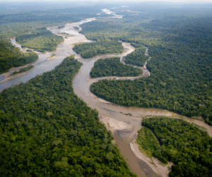 Brasil anuncia US$ 1 bilhão para fundo de florestas tropicais