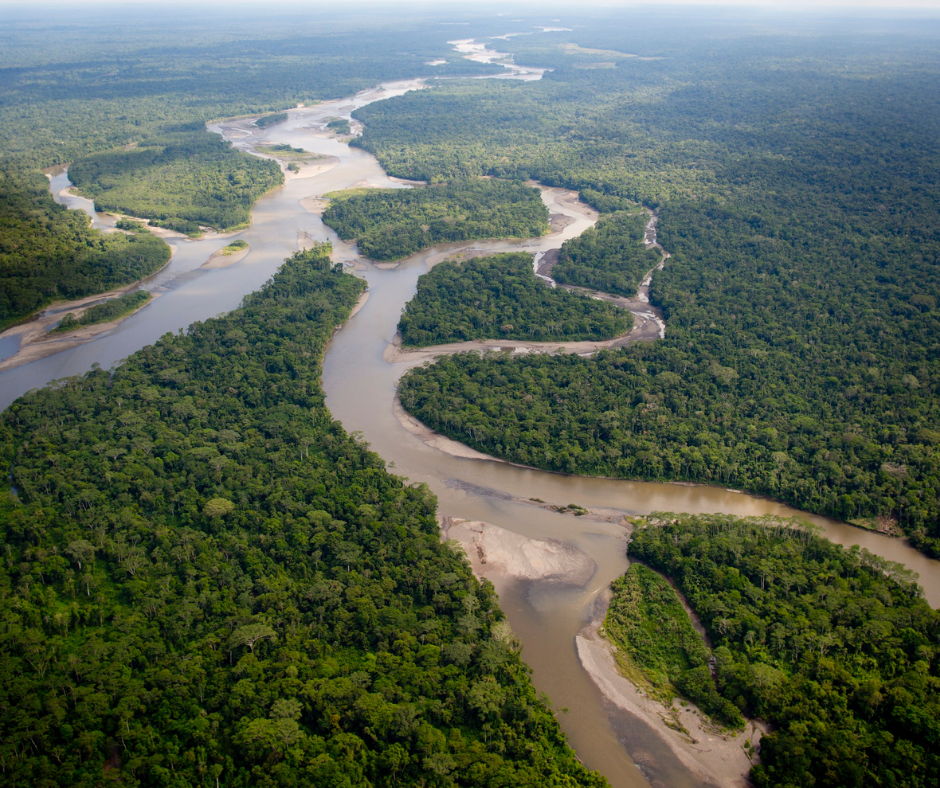 Brasil anuncia US$ 1 bilhão para fundo de florestas tropicais