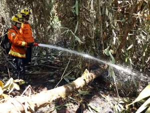 Soldado do Corpo de Bombeiros do Distrito Federal durante ações de combate a incêndios no Parque Nacional. Foto: Antônio Cruz/Agência Brasil